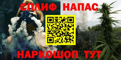 дмт Нальчик