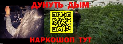 тгк Новокубанск