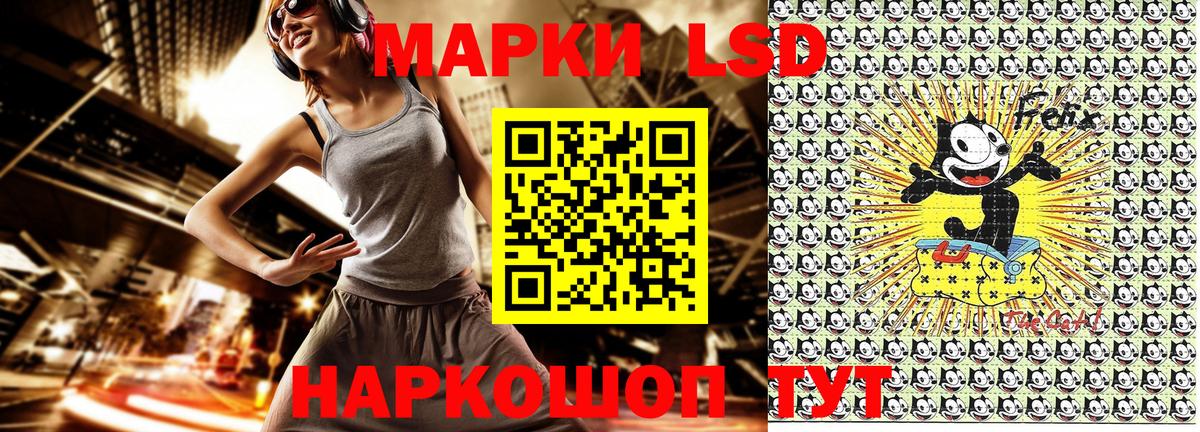  COCAIN Сокол