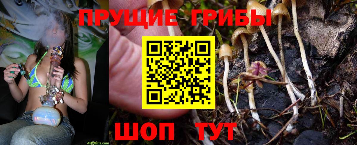 наркота  Псилоцибиновые грибы Magic Shrooms  Вход с VPN  Сокол  Псилоцибиновые грибы ЛСД 